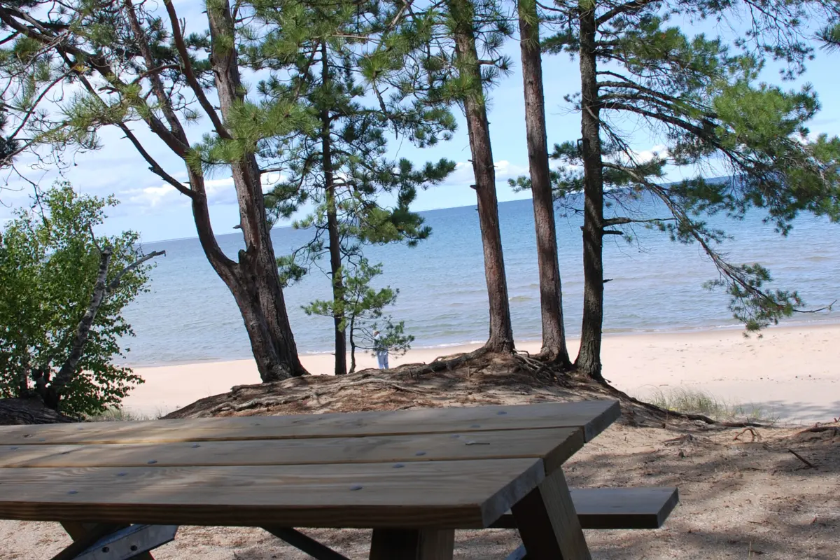 Big Pine Picnic