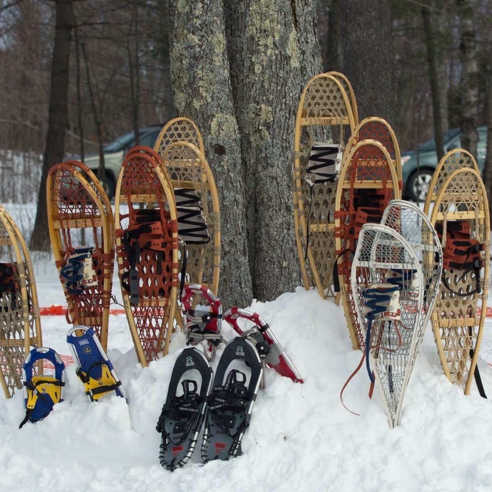 snowshoes
