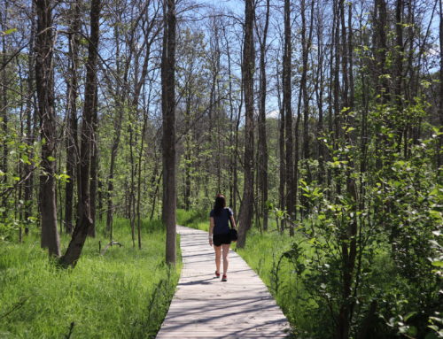 3 Spring Hiking Trails for the Whole Family