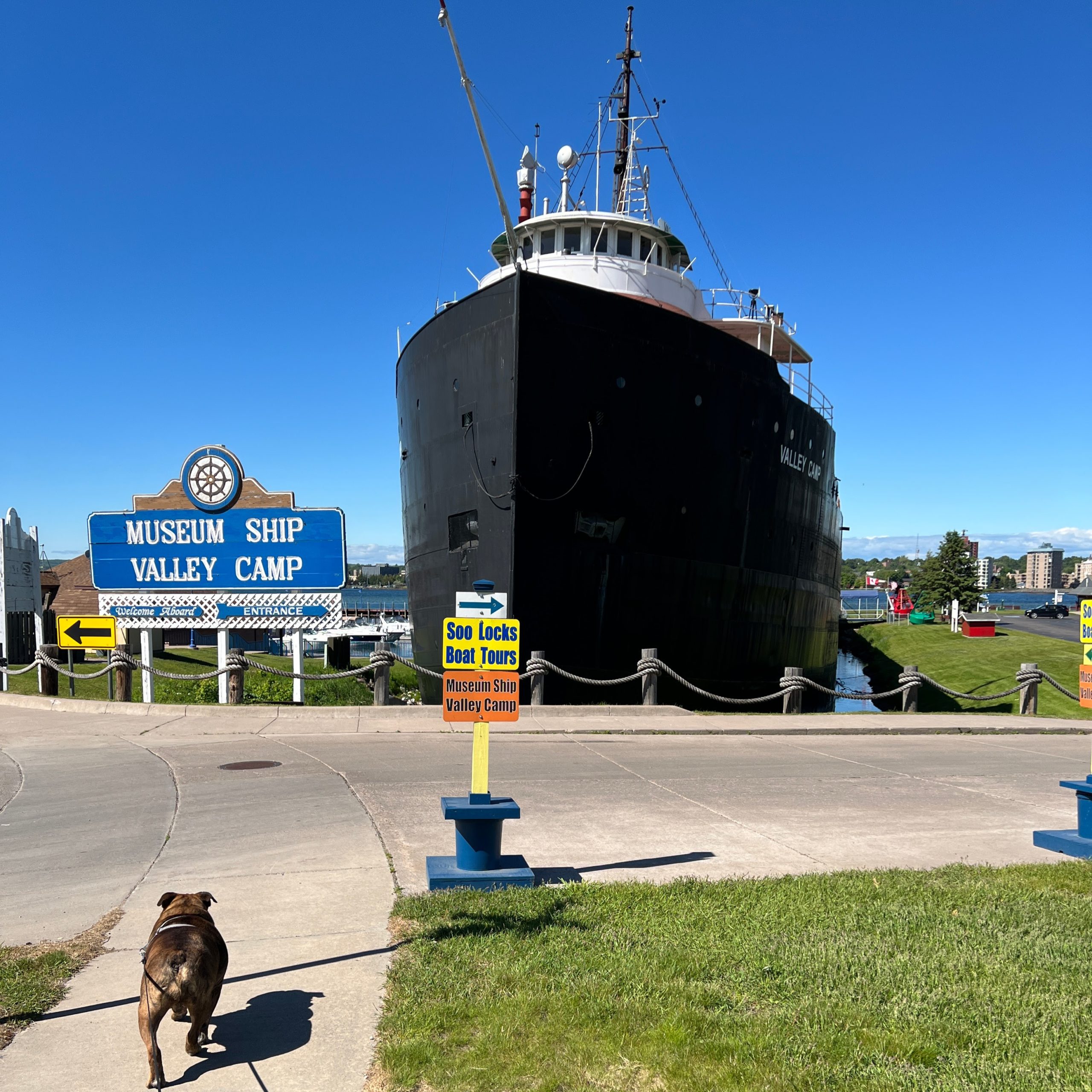 dog walking in front of museum ship valley camp