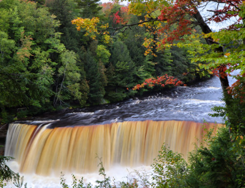 7 Things that you might not know about Tahquamenon Falls