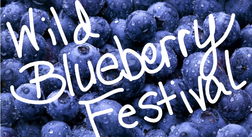 wild blueberry festival