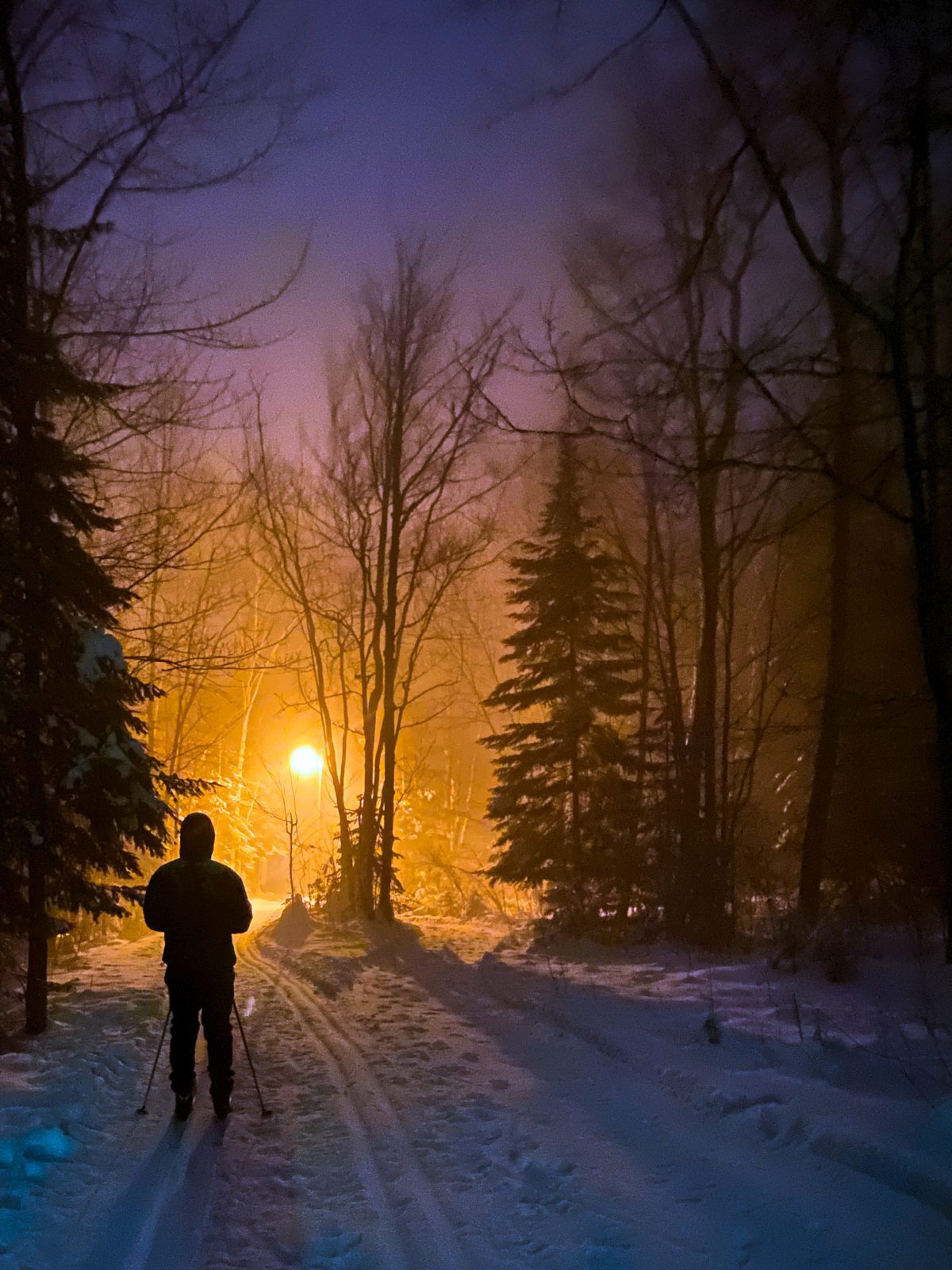 4 Spots to Snowshoe and Cross Country Ski in the Soo Sault Ste Marie CVB