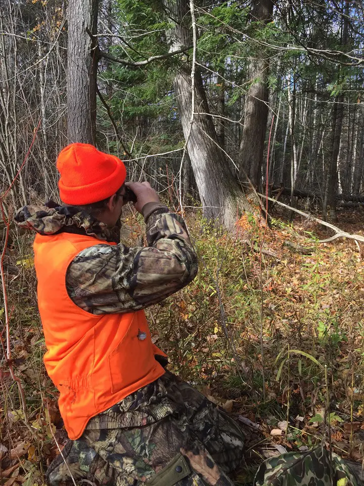 Hunter looking into the woods