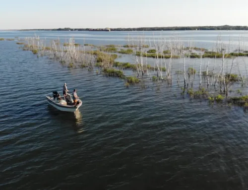 St. Marys River Fishing Experience