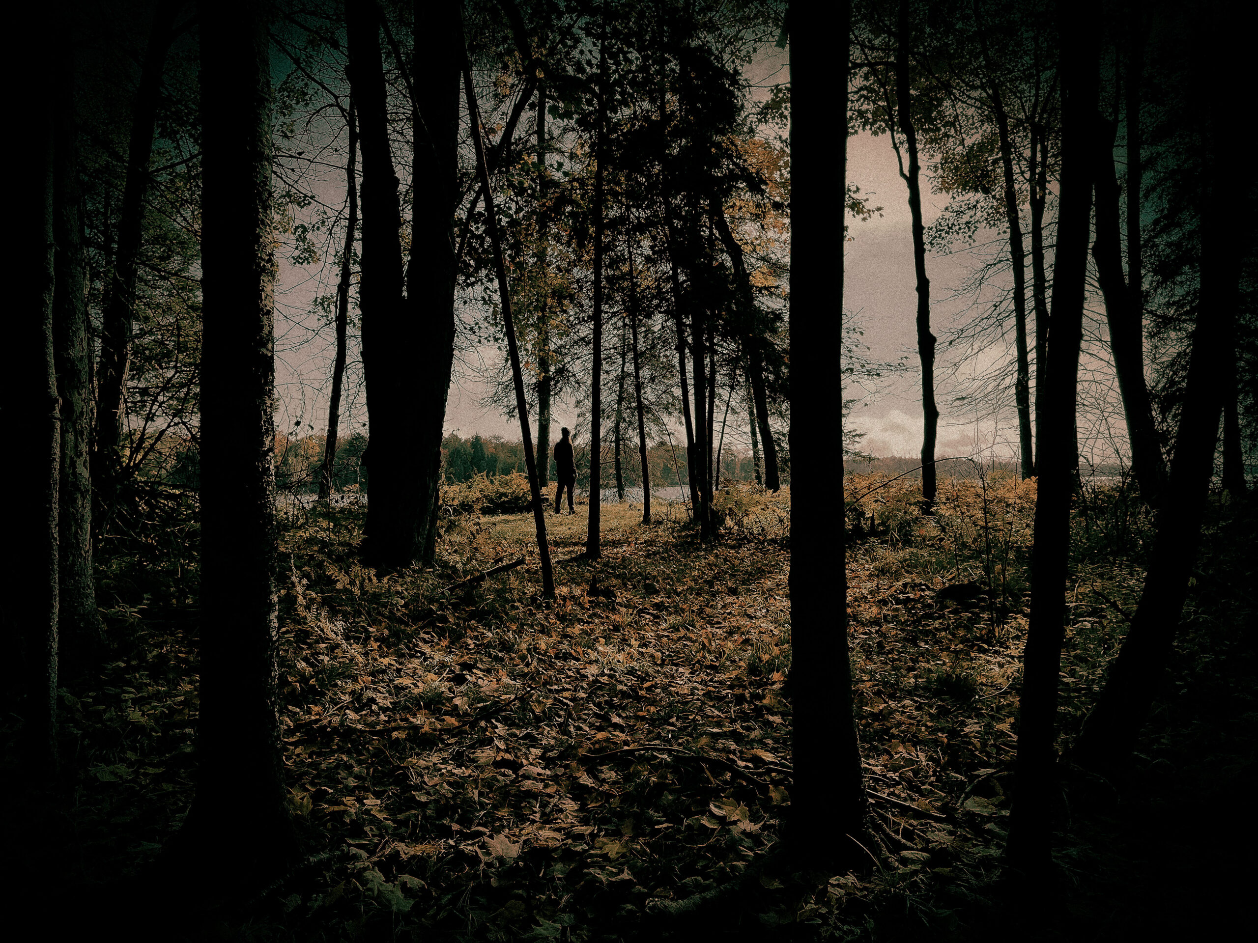 Island-fall-spooky