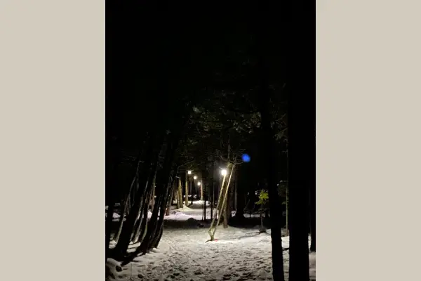 Trails picture