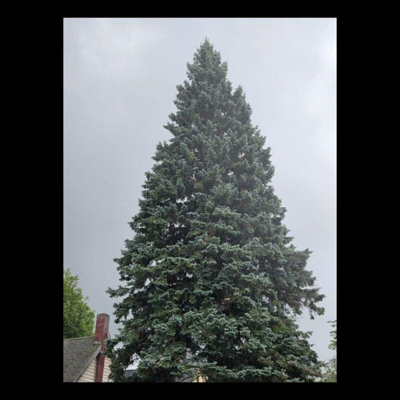 Sault Ste Marie Michigan News