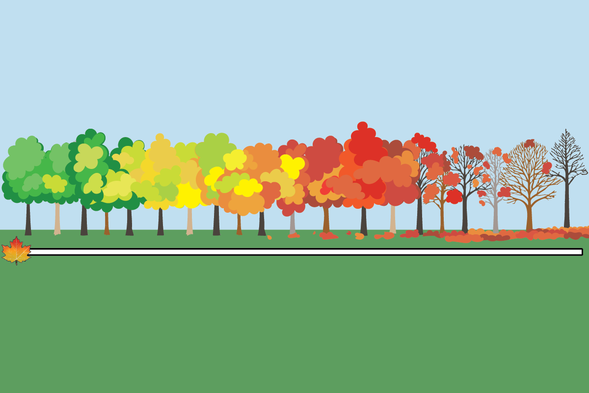 fall color scale – 0 fall color scale - 0