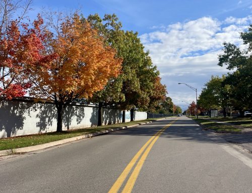 Sault Ste. Marie: Our Own Stars Hollow