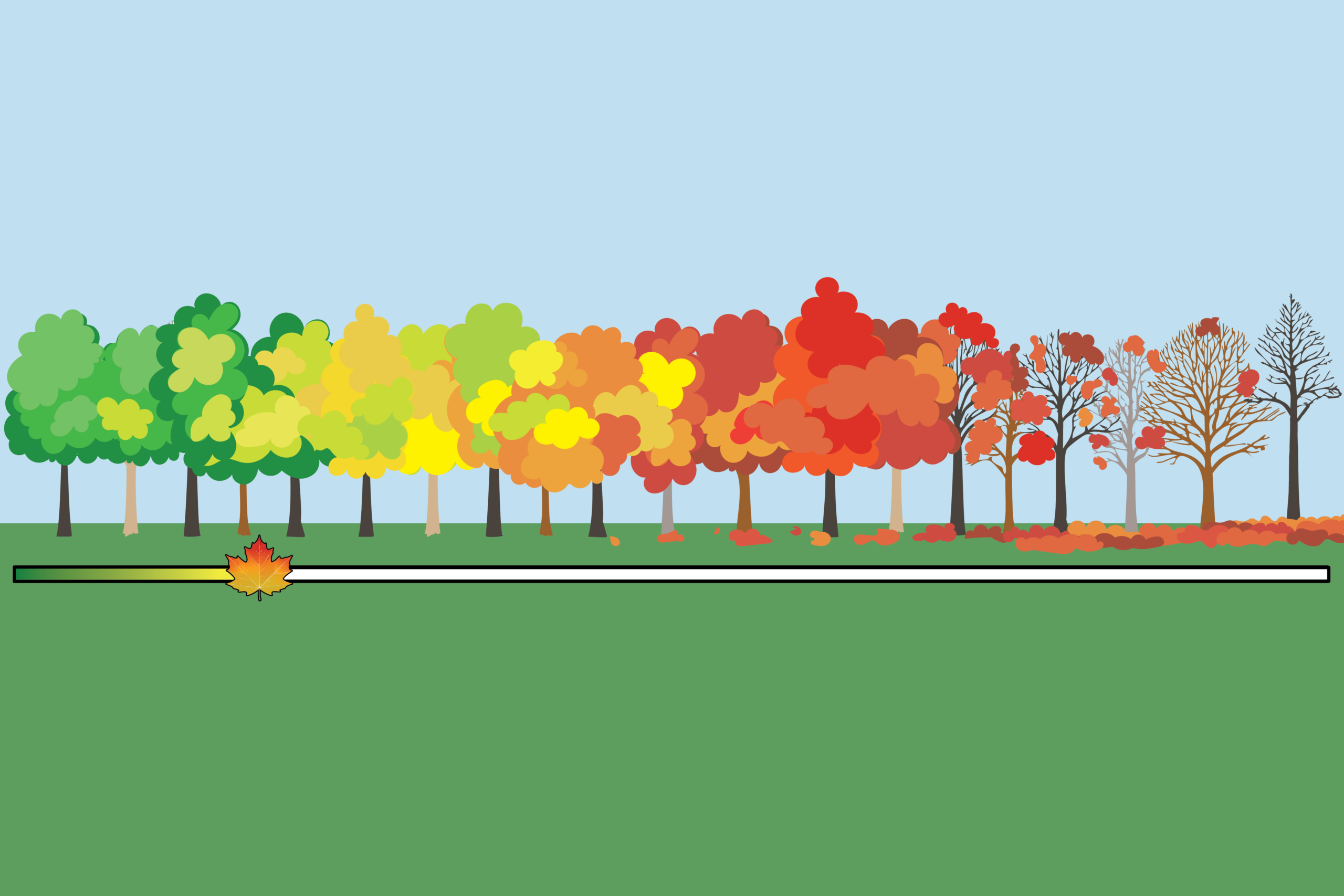 Fall Color Scale - 2