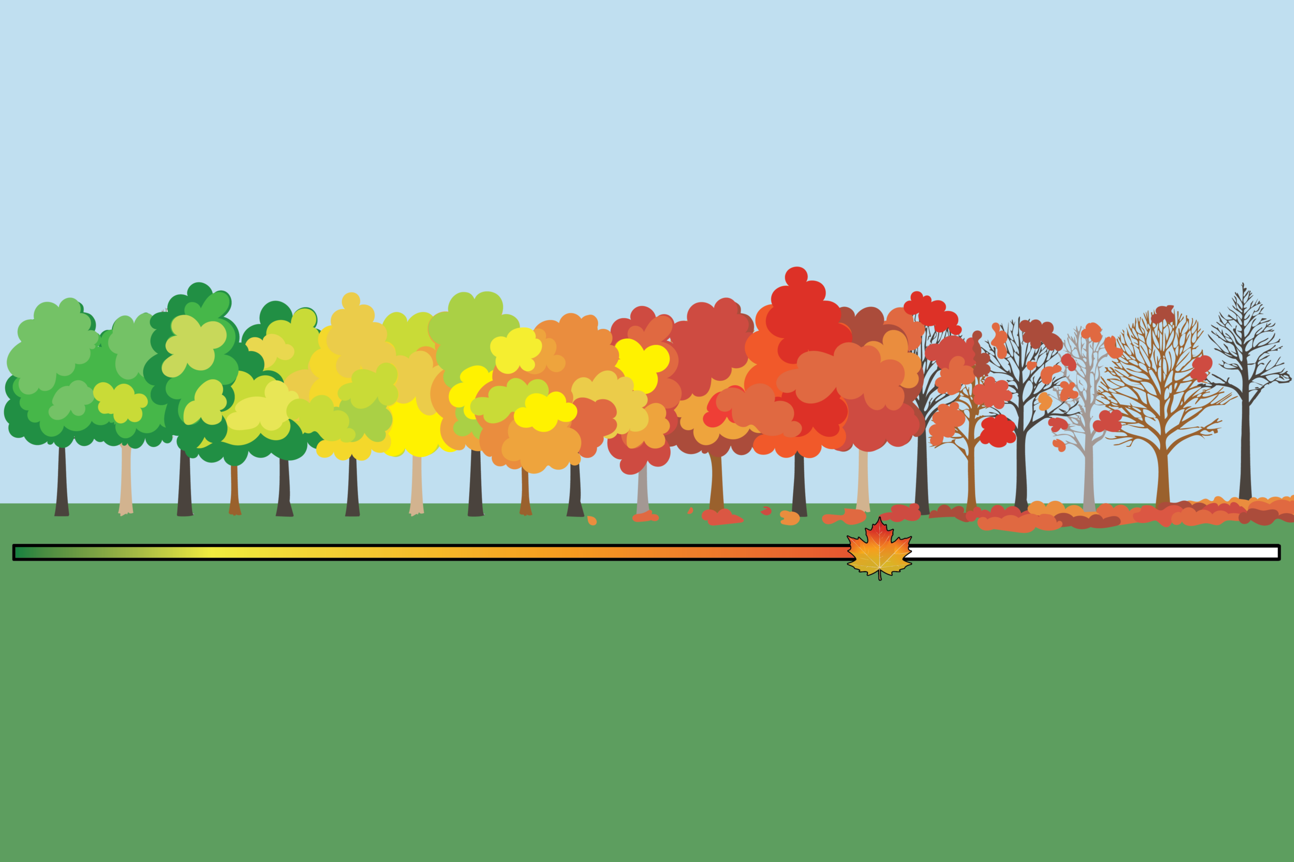 7- fall color scale 7- fall color scale